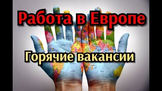 актуальные вакансии на 2023 г.