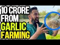 G1 Garlic Farming | 40 Lakh Per Acre | Lahsan ki Kasht ka Business in Pakistan