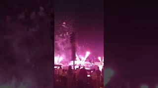 Disney's Epcot firework (Luminous Symphony)