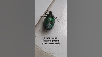 Thumbnail of I wonder if that is Gregor Samsa. Franz Kafka Metamorphosis (1915) Song - Kanye West - I wonder.