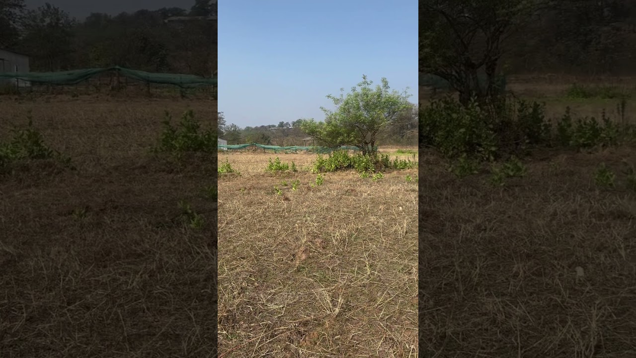 Farm land for sale in Khopoli 8788035368