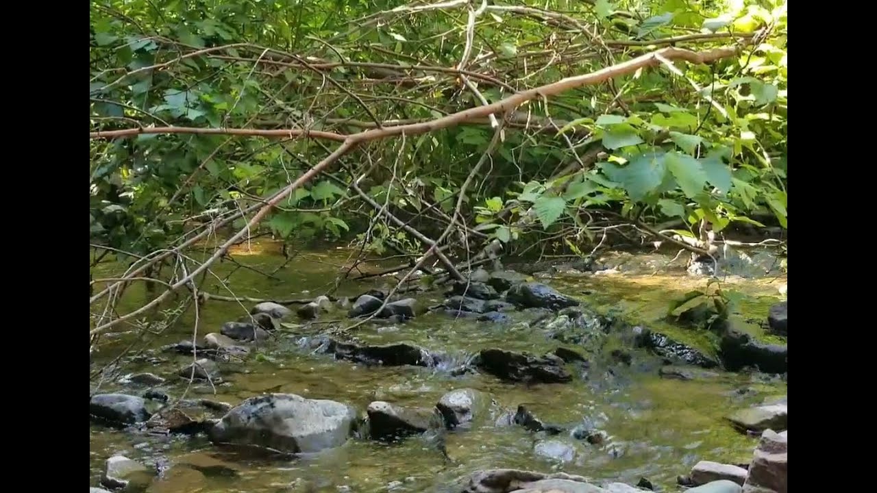Amity Creek, Duluth, MN August 2023 YouTube