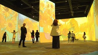 Arte y emoción en exposición inmersiva de Van Gogh en Quito