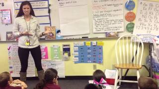 Writing Workshop- mini lesson