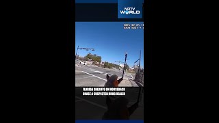 Viral: Florida Sheriffs On Horseback Chase A Man They Say Was A Drug Suspect