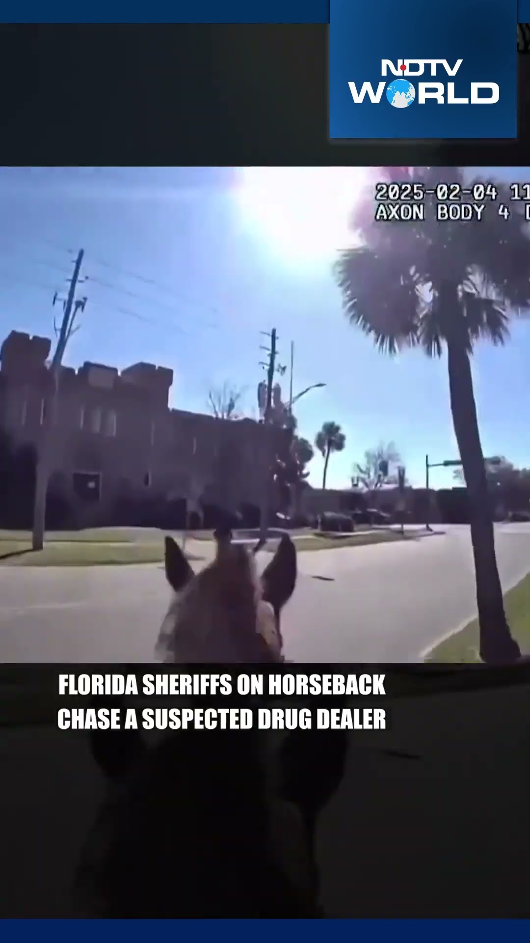 Viral: Florida Sheriffs On Horseback Chase A Man They Say Was A Drug Suspect