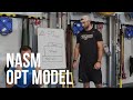 NASM Optimum Performance Training Model