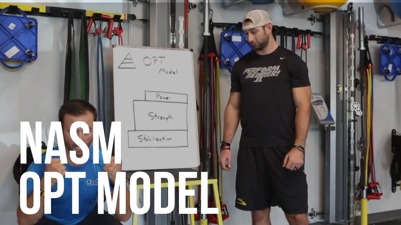 Nasm optimum performance training model youtube