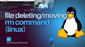 Deleting/Moving Linux Files with rm command - Intro to Basic Linux Commands (for beginners)