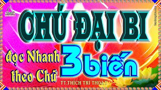 THẦN CHÚ ĐẠI BI 3 BIẾN - đọc Nhanh theo Chữ - trì tụng mỗi ngày tại nhà rất linh nghiệm và may mắn