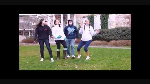 Vectors Music Video (Airplanes Parody)