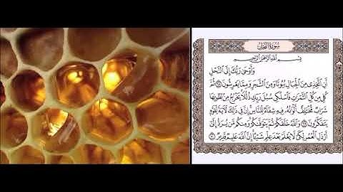 سورة النحل من الآية 68 إلى الآية 70