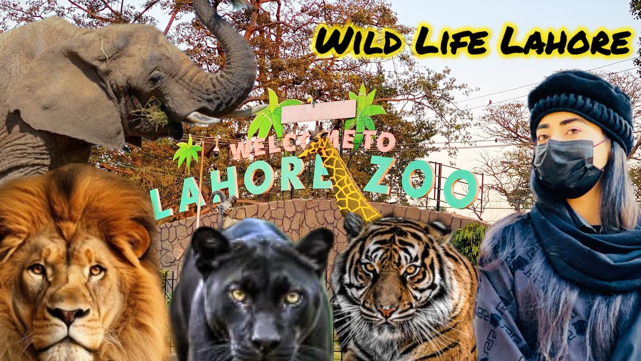 Exploring Lahore Zoo 🐆 | Pakistan’s Animal Kingdom! 🐘🦒 | Must Visit