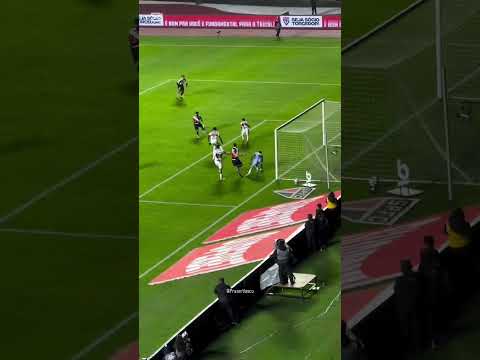 OS GOLS DE