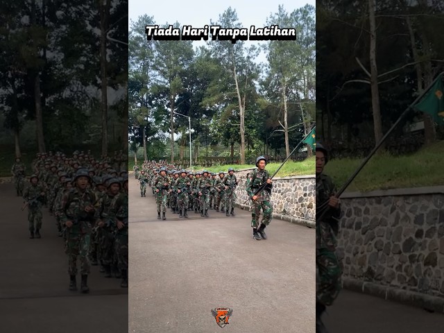 Lagu Penyemangat Lari TNI #tniindonesia #komando #army #infanteri #tniad #tni #tentara #fypシ class=