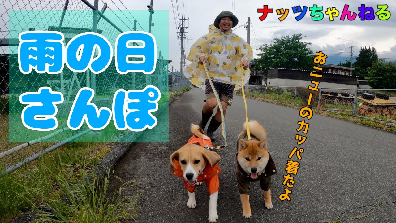 【ゆるゆるVLOG】おニューのかっぱを着てお散歩に行ってきたよ‼️