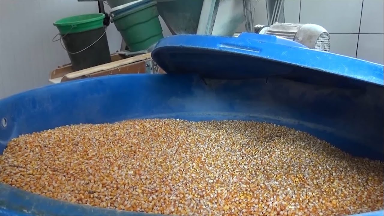 Tradição da moagem de farinha de milho em moinho de pedra é mantida