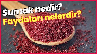 Sumak Nedir, Sumak Baharatının Faydaları Nelerdir?