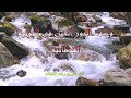 وصف الحور العين في النونية القحطانية ظفر بن راشد النتيفات وصف الحور العين في النونية القحطانية ظفر بن راشد النتيفات