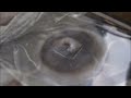 End of video