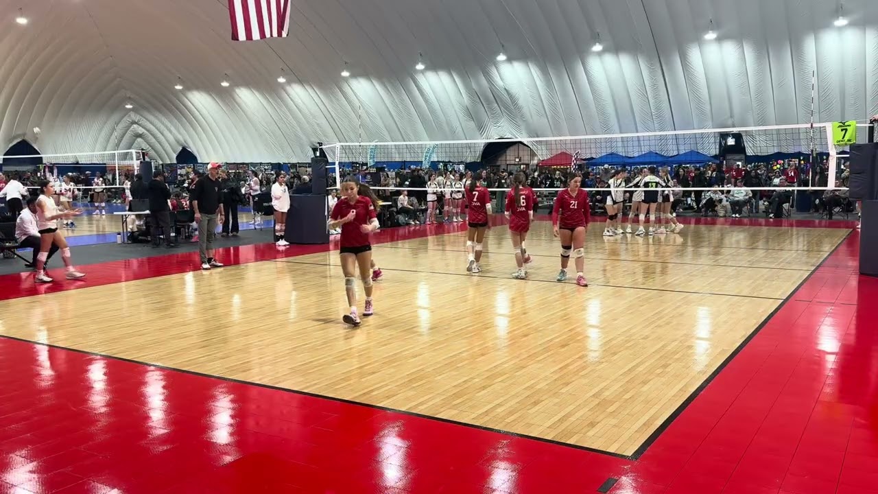 Forza 14 Black vs. Lena Legends 14