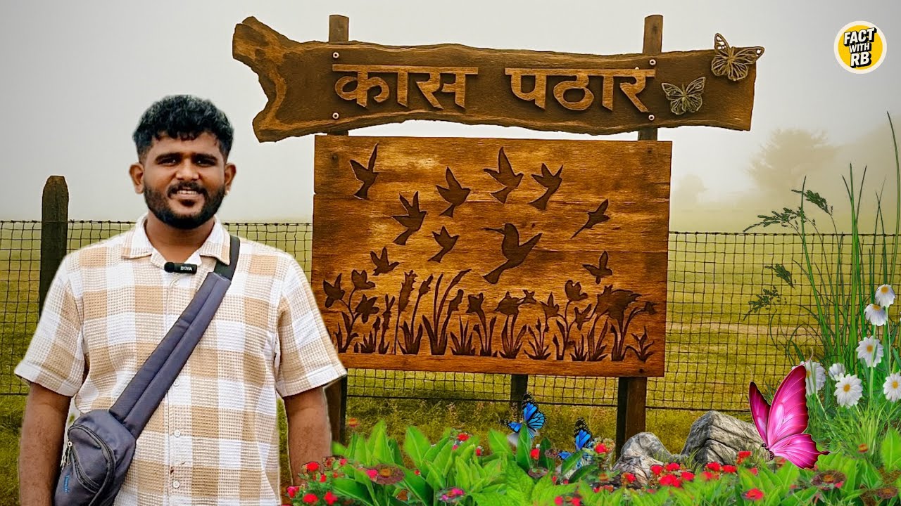 🌿 “Kas Pathar Satara | 2025 मध्ये उमललेलं फुलांचं स्वर्ग 🌸”