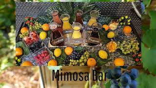 Mimosa Bar