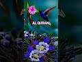 AL QURAN URDU TRANSLATION #unfrezzmyaccount #quranforever #shortsfeed