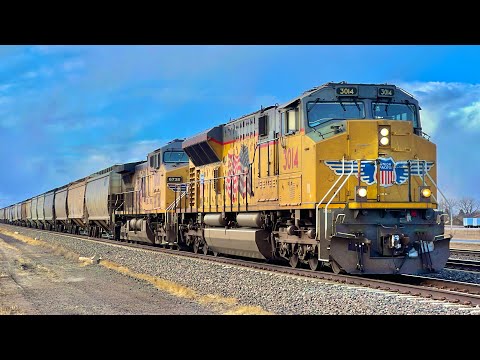 FAST UP Grain Shuttle with COOL Duo! Lexington, NE - 1/22/2025