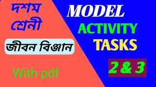 Life Science//MODEL ACTIVITY TASKS - 2  & 3 Answer. For class 10