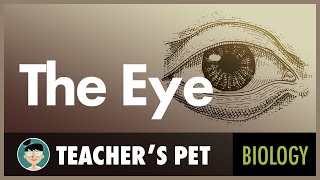 The Eye