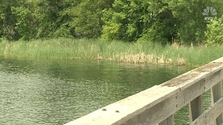 Father drowns saving son