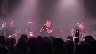 The Old Dead Tree - Someone Should Know (The Truth)