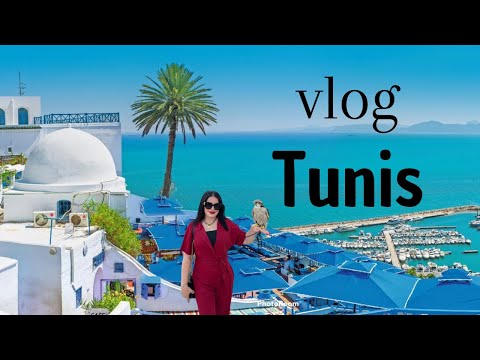 Vlog Mon Séjour à Tunis Cartage ?عطلتي في تونس قرطاج العاصمة #tunisie #algerie #maroc #france