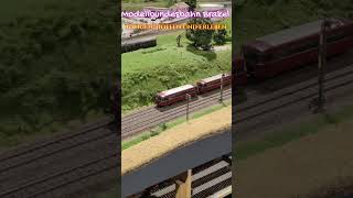 Modellbundesbahn Brakel #64 Bangen, Hoffen und Erleben