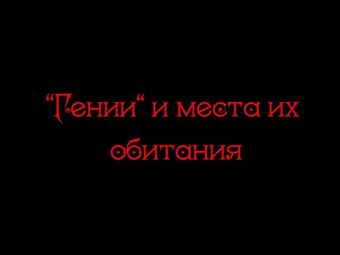 Разбор полетов