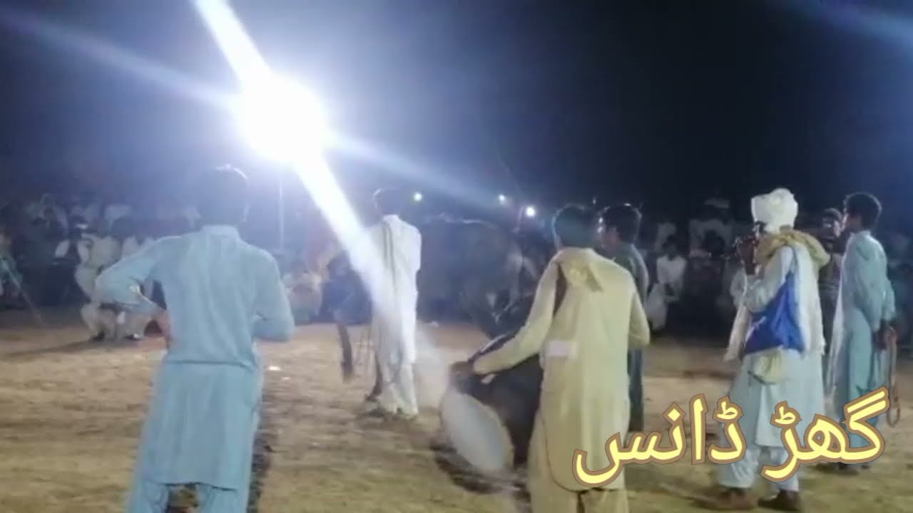 Shaadi py hourse ki behtreen performance...👍👍 Soon Valley Sakesar Official.