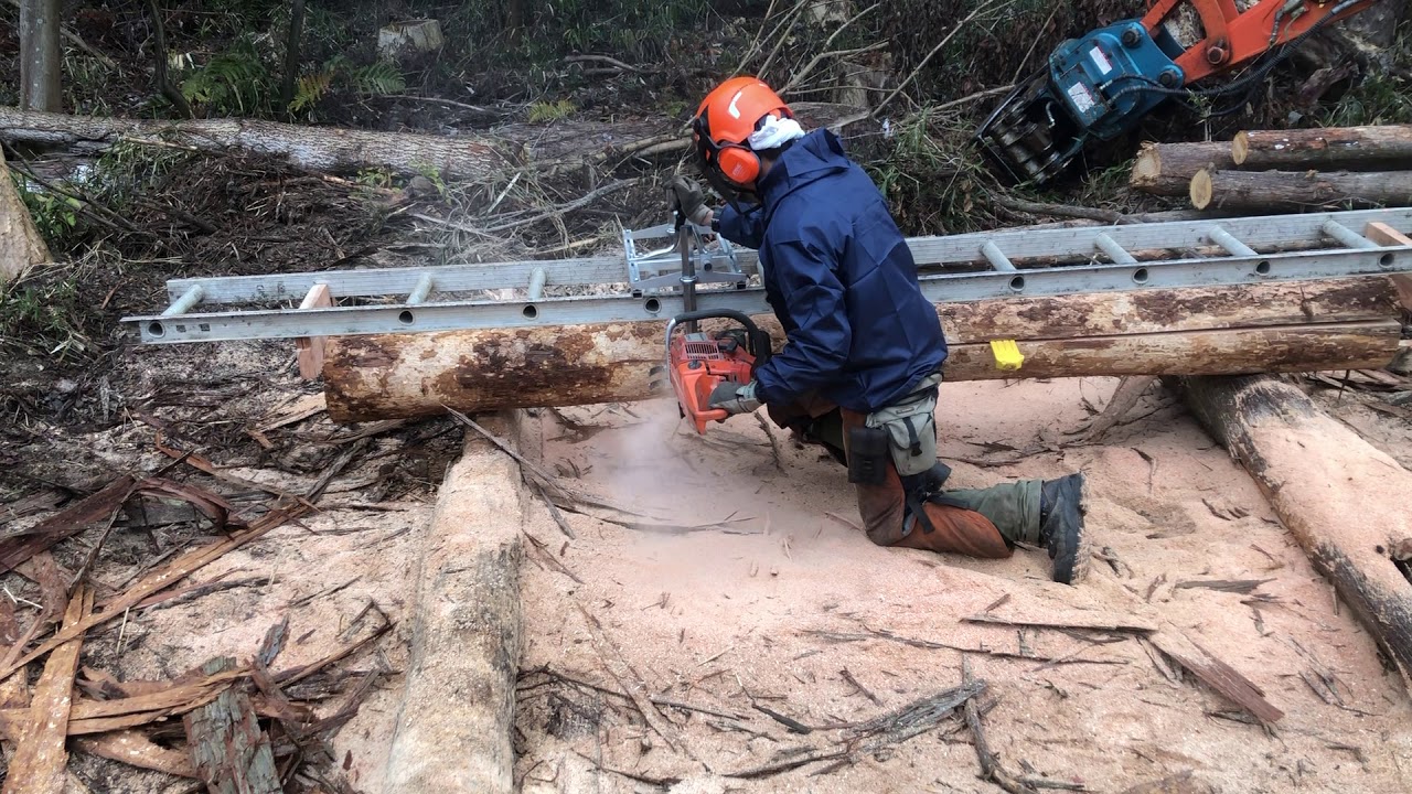 チェーンソー製材　森で直接製材