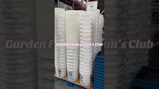 Container Garden Finds #gardeningtips