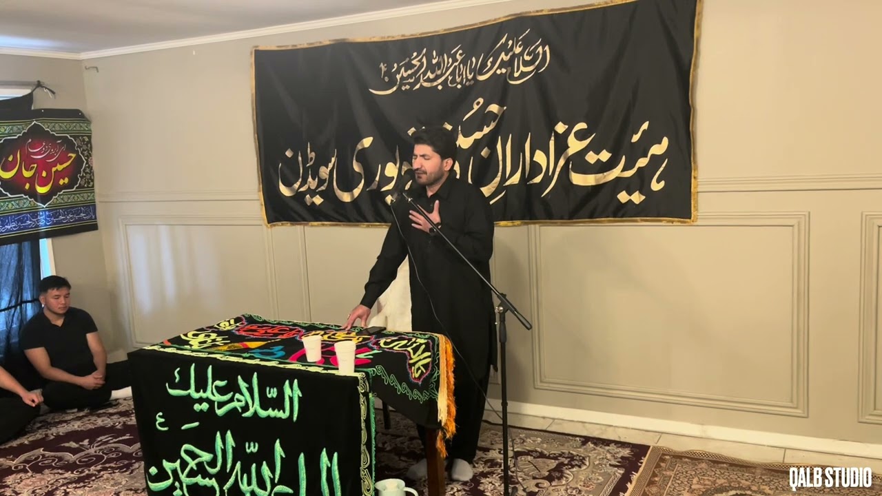 Saleem Reza Nagri | Shab bedari Gothenburg Sweden 2024 |