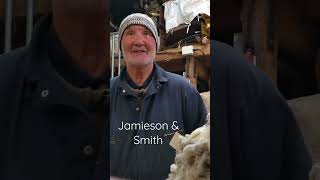 Oliver of Jamieson & Smith #jamiesonandsmith #shetlandsheep #lerwick