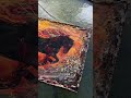 Encaustic painting Fire Horse for Chinese New year wibe. #art #painting