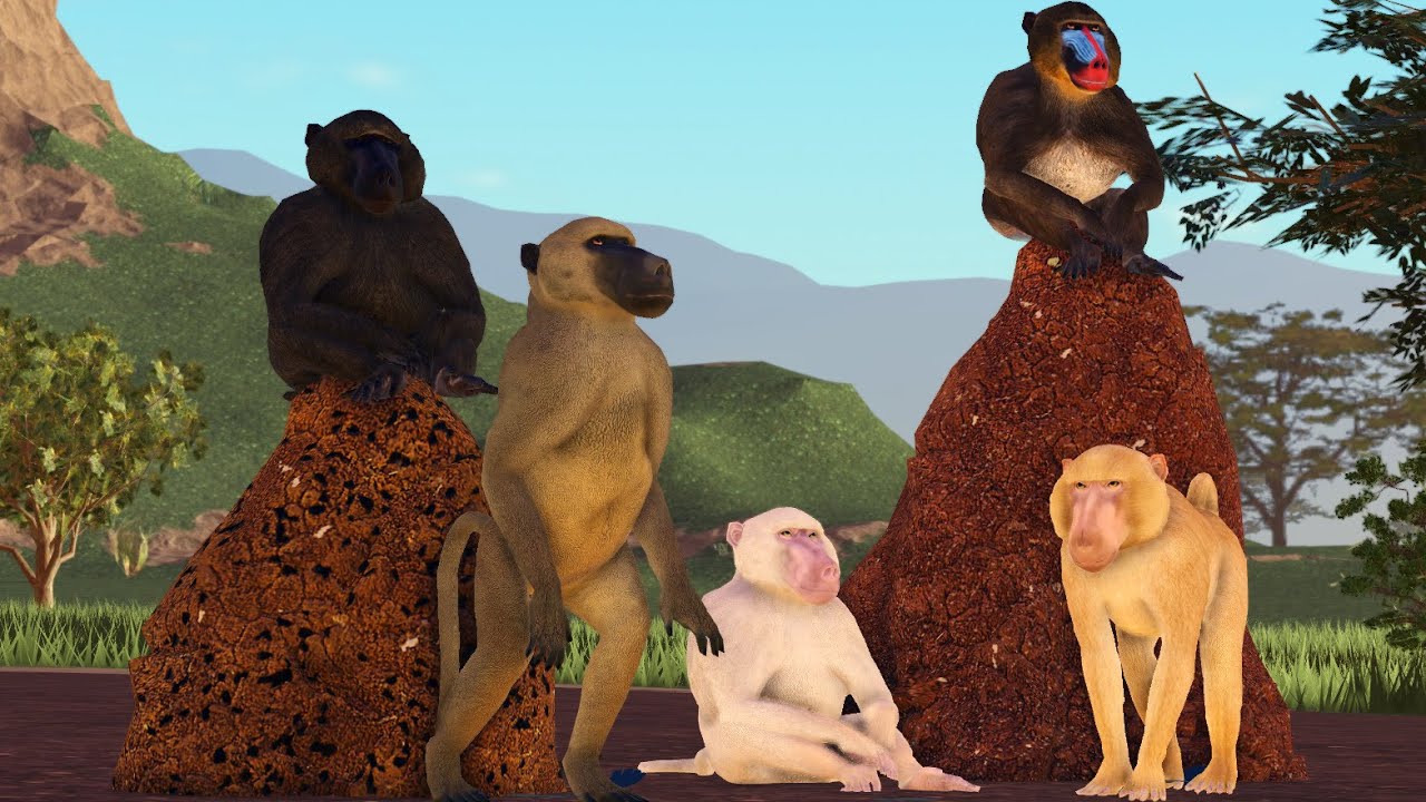 Savannah Life Baboon Preview