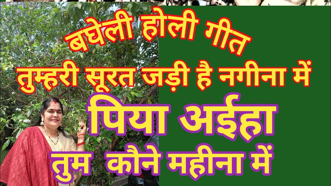 पति पत्नी बघेली फगुआ🌹 होली गीत 🌹 तुम्हारी सूरत गड़ी है नगीना म 🌹 पिया आईहा  तुम कौन महीना म🌹 bagheli