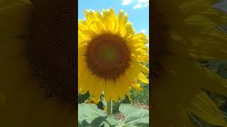 27 De Fevereiro De 2023