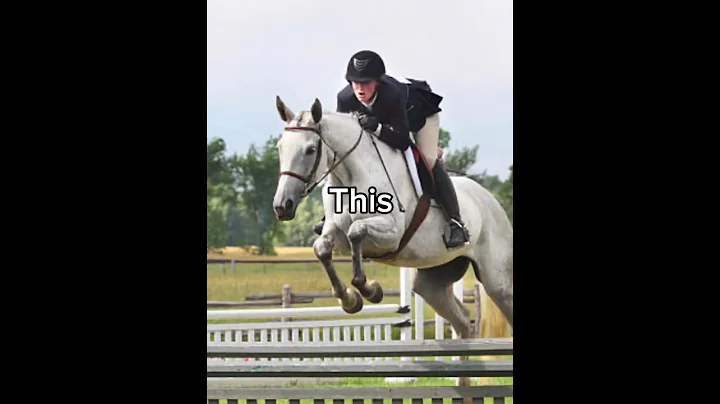 Let’s Confuse The Non Equestrians! With Explanations! The full video is on our channel!