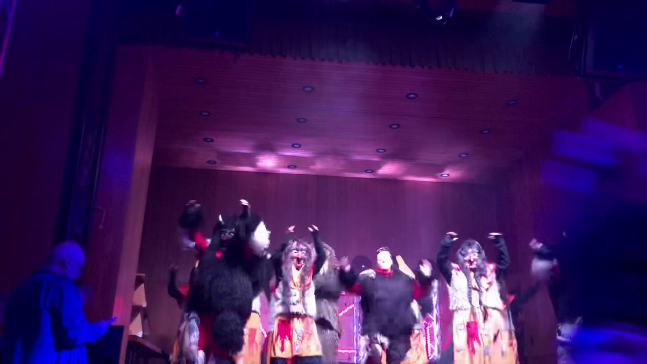 1. Calwer Narrenzunft 04 e. V. | Zugabe 2020