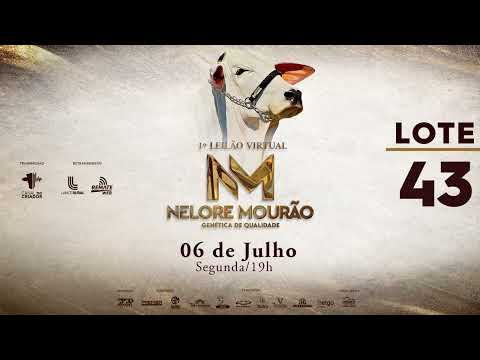 LOTE 43   MOR 118 255 165