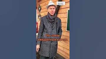 Что такое квадратный корень