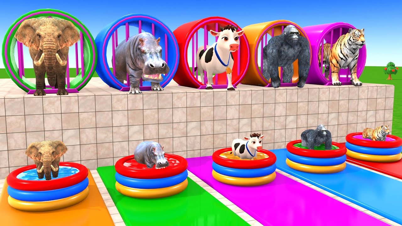 Long Slide Game With Cow Elephant Gorilla Hippopotamus Tiger 3d Animal Game Funny 3d Animals